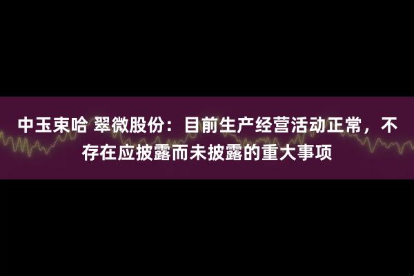 中玉束哈 翠微股份：目前生产经营活动正常，不存在应披露而未披露的重大事项